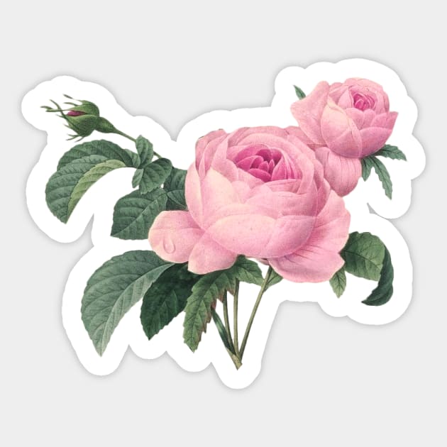 Rose Art Sticker by Design Anbay